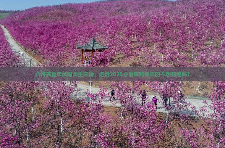 八月到重庆武隆天生三桥六日游