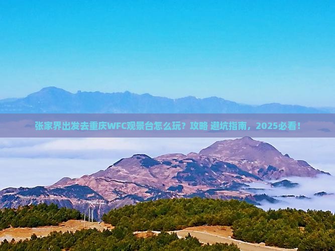 张家界去重庆wfc观景台哪里玩