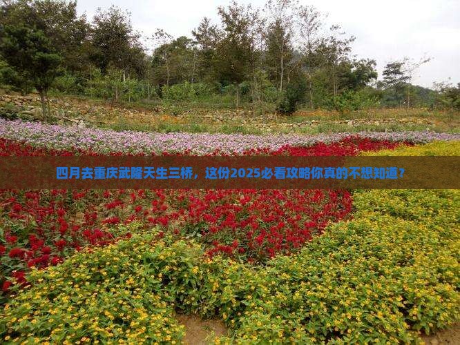 四月到重庆武隆天生三桥大型旅游团