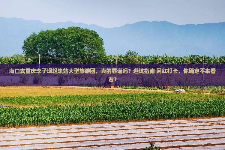 海口去重庆李子坝轻轨站大型旅游团