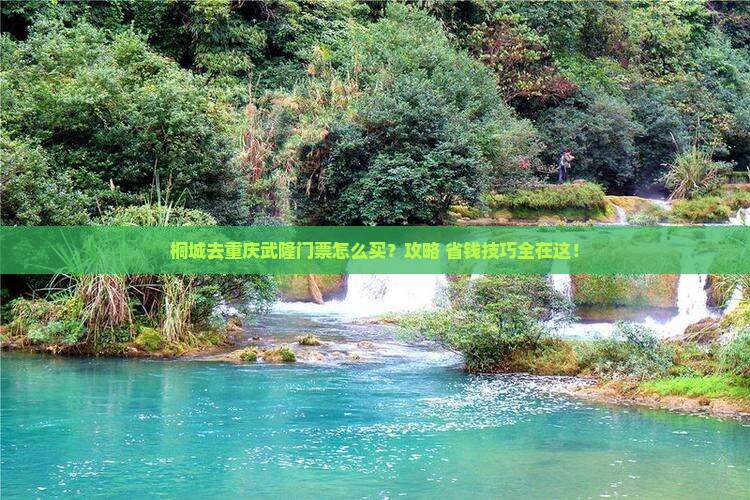 桐城去重庆武隆门票
