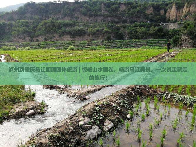 泸州到重庆乌江画廊团体旅游