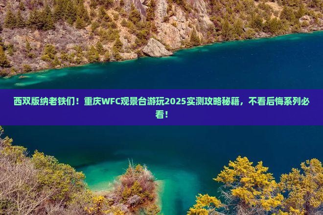 西双版纳去重庆wfc观景台必去地