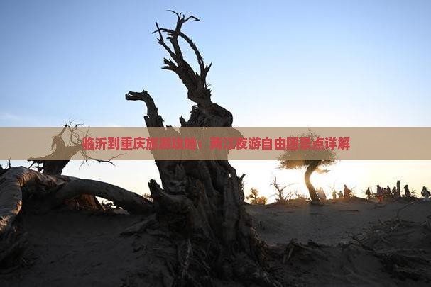 临沂到重庆两江夜游自由团