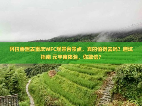 阿拉善盟去重庆wfc观景台景点