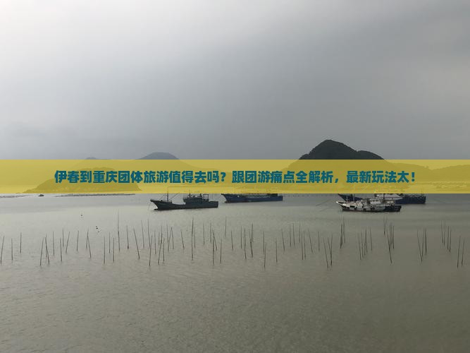 伊春到重庆团体旅游