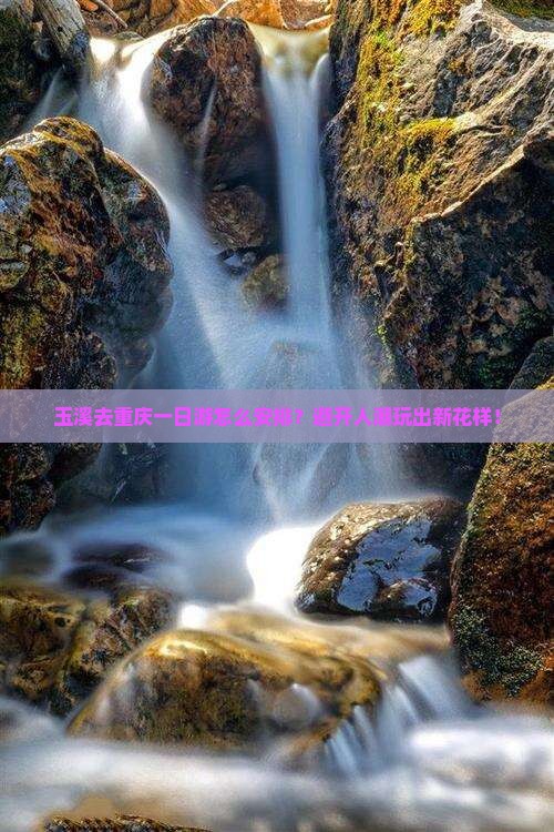 玉溪去重庆一日