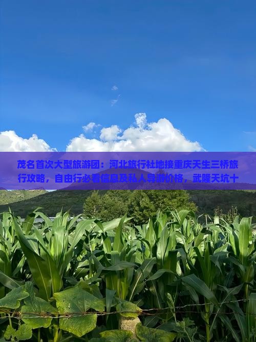 茂名首次大型旅游团：河北旅行社地接重庆天生三桥旅行攻略，自由行必看信息及私人导游价格，武隆天坑十佳景点深度游