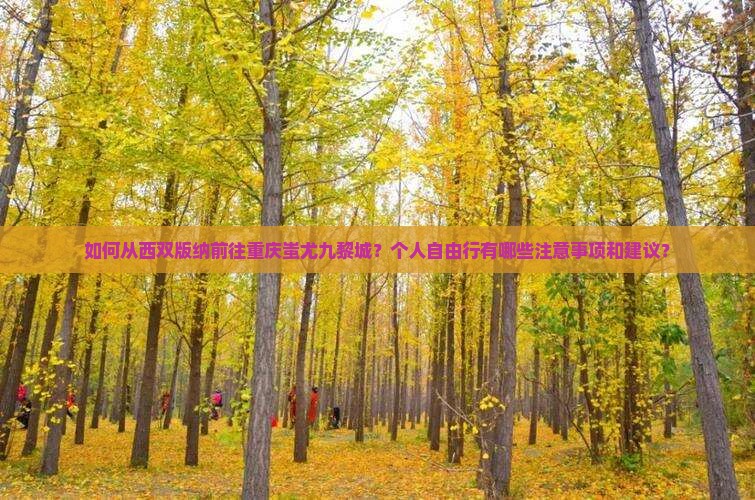 如何从西双版纳前往重庆蚩尤九黎城？个人自由行有哪些注意事项和建议？