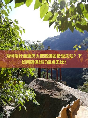 为何喀什至重庆大型旅游团备受关注？下如何确保旅行痛点无忧？