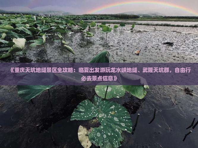 《重庆天坑地缝景区全攻略：临夏出发游玩龙水峡地缝、武隆天坑群，自由行必去景点信息》