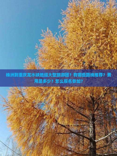 株洲到重庆龙水峡地缝大型旅游团？有哪些路线推荐？费用是多少？怎么报名参加？