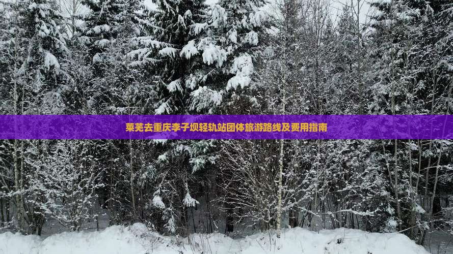 莱芜去重庆李子坝轻轨站团体旅游路线及费用指南
