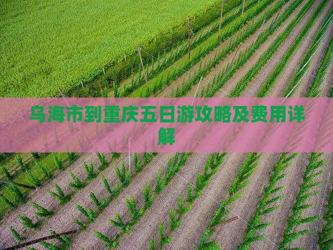 乌海市到重庆五日游攻略及费用详解