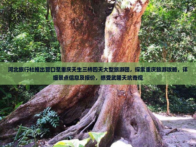 河北旅行社推出营口至重庆天生三桥四天大型旅游团，探索重庆旅游攻略，详细景点信息及报价，感受武隆天坑奇观