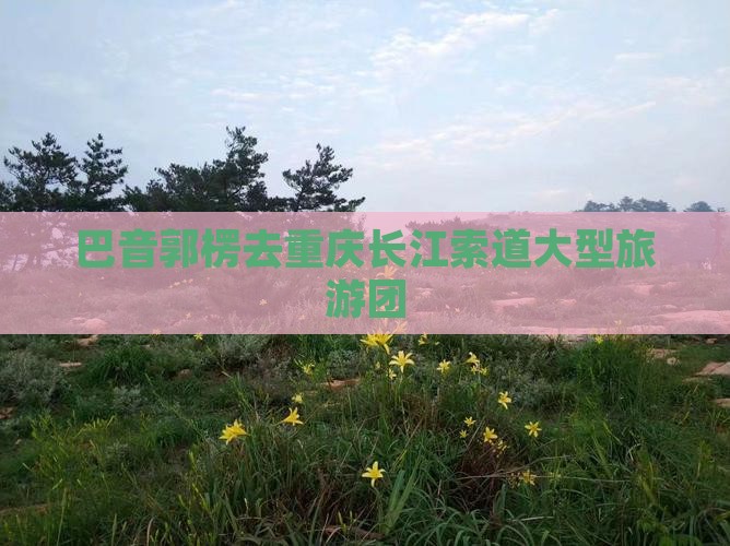 巴音郭楞去重庆长江索道大型旅游团