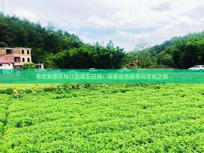 张北到重庆乌江画廊五日游：探索自然美景与文化之旅