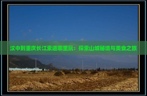 汉中到重庆长江索道哪里玩：探索山城秘境与美食之旅