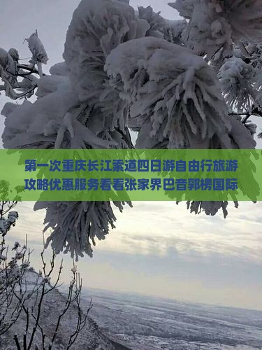 第一次重庆长江索道四日游自由行旅游攻略优惠服务看看张家界巴音郭楞国际旅行社