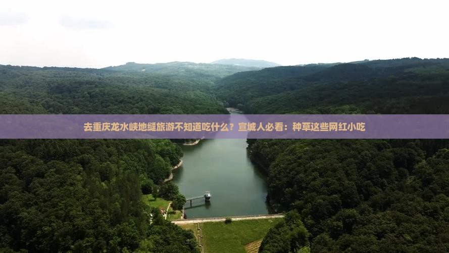 去重庆龙水峡地缝旅游不知道吃什么？宣城人必看：种草这些网红小吃