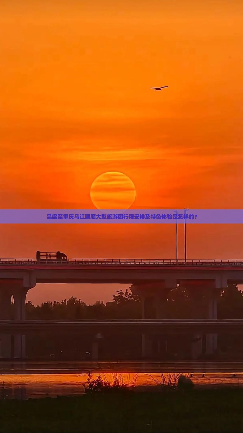 吕梁至重庆乌江画廊大型旅游团行程安排及特色体验是怎样的？