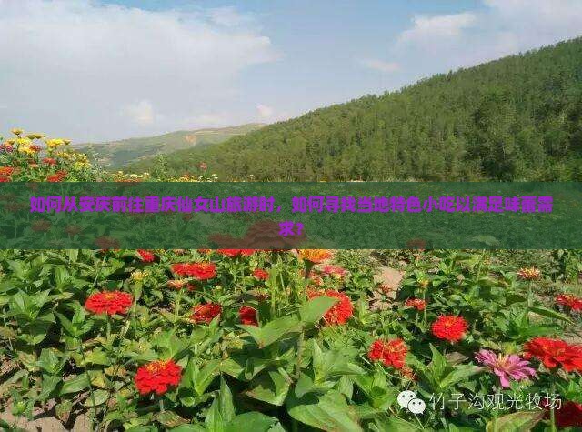 如何从安庆前往重庆仙女山旅游时，如何寻找当地特色小吃以满足味蕾需求？