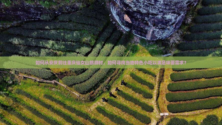 如何从安庆前往重庆仙女山旅游时，如何寻找当地特色小吃以满足味蕾需求？