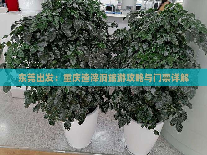 东莞出发：重庆渣滓洞旅游攻略与门票详解