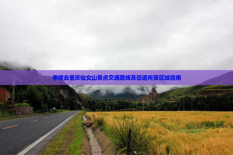 孝感去重庆仙女山景点交通路线及街道所属区域指南