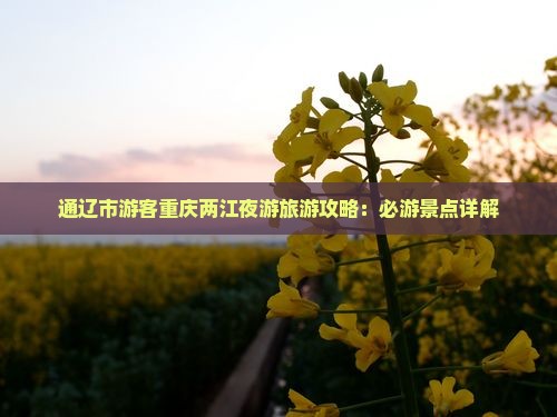 通辽市游客重庆两江夜游旅游攻略：必游景点详解