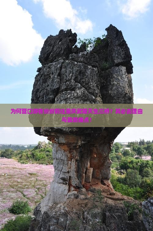 为何营口游客纷纷前往重庆武隆天生三桥？其必去理由与最新痛点！