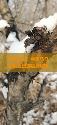 唐山到重庆乌江画廊五日游
