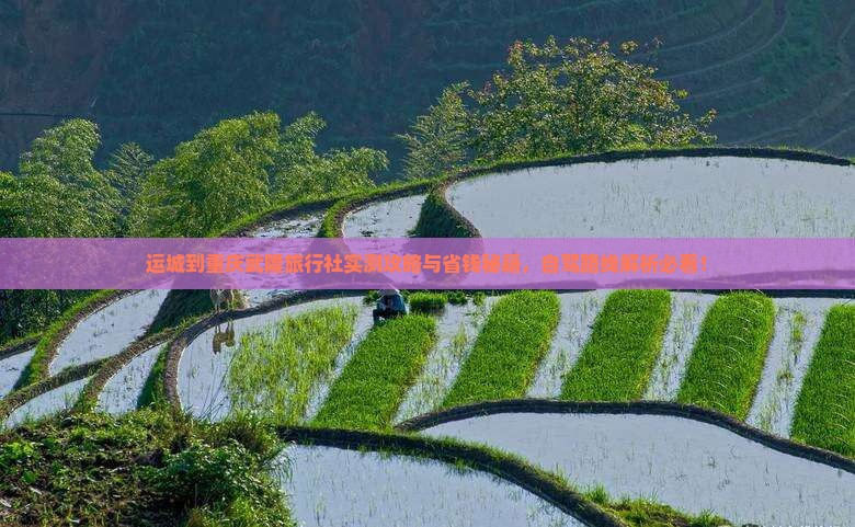 运城到重庆武隆旅行社
