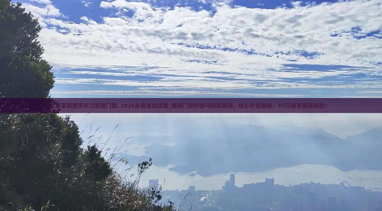 思茅到重庆长江索道门票