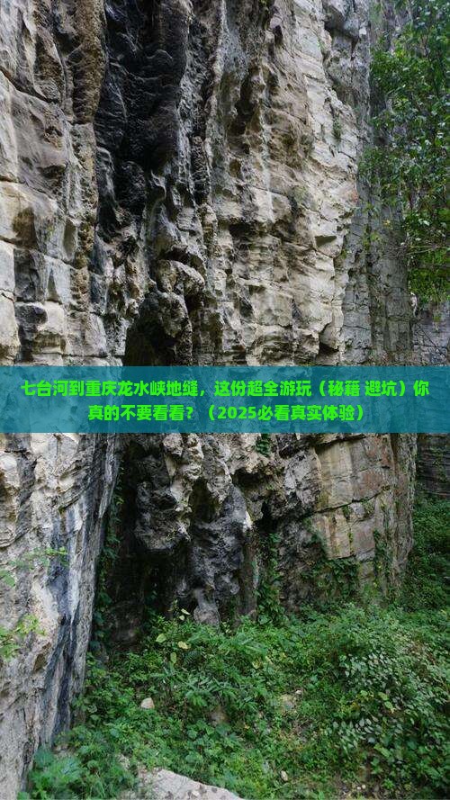 七台河到重庆龙水峡地缝景点