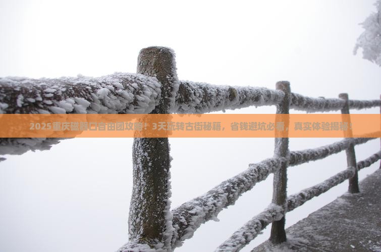 八月到重庆磁器口自由团