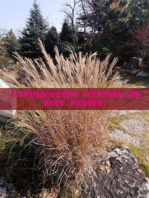 八月到重庆磁器口自由团