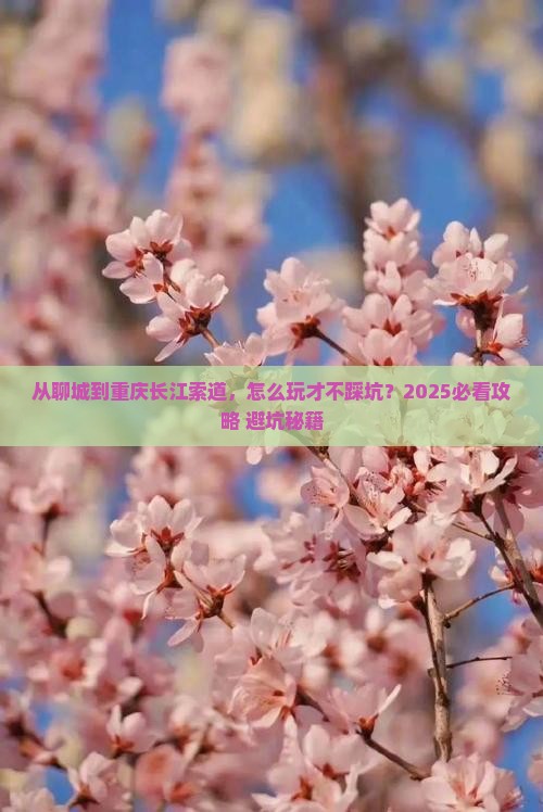 聊城去重庆长江索道哪里玩