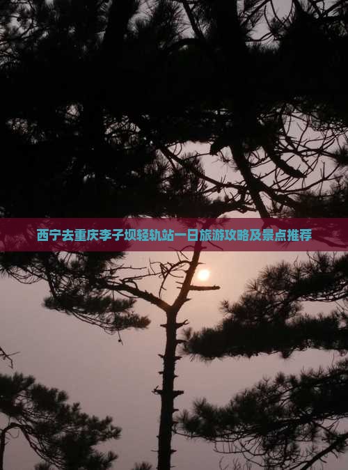 西宁去重庆李子坝轻轨站一日