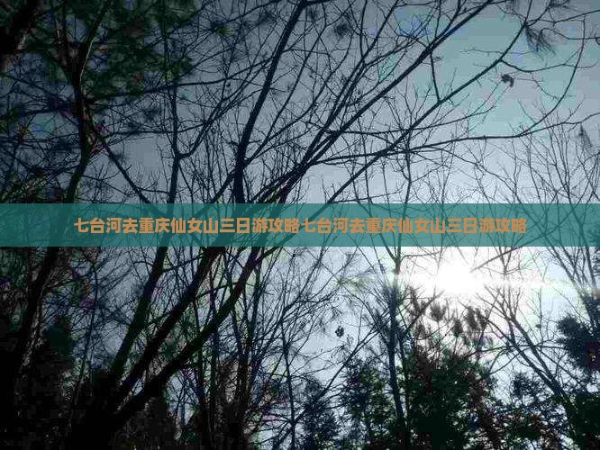 七台河去重庆仙女山三日游