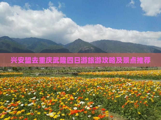 兴安盟去重庆武隆四日游
