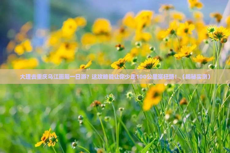 大理去重庆乌江画廊一日