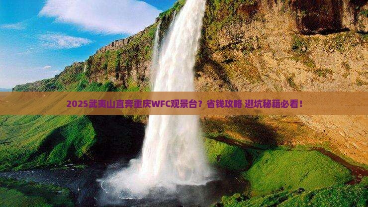 武夷山去重庆wfc观景台门票
