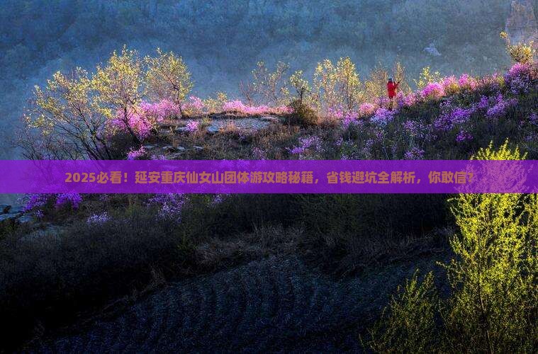 延安去重庆仙女山团体旅游