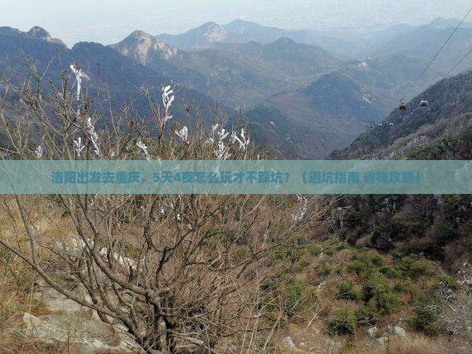 洛阳去重庆团体旅游