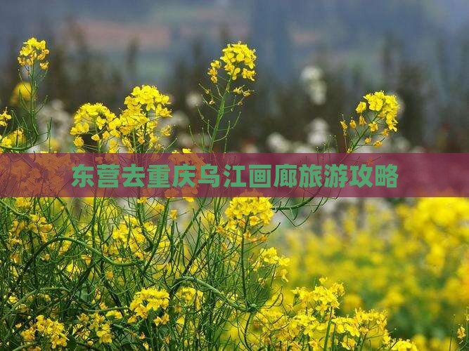 东营去重庆乌江画廊哪里玩