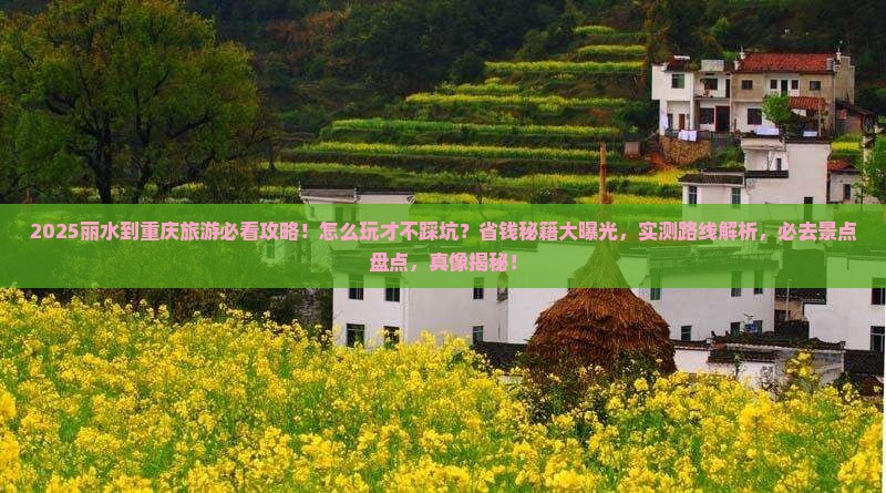 丽水到重庆旅游