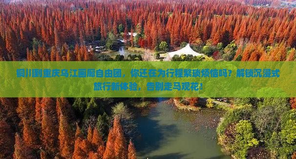 铜川到重庆乌江画廊自由团