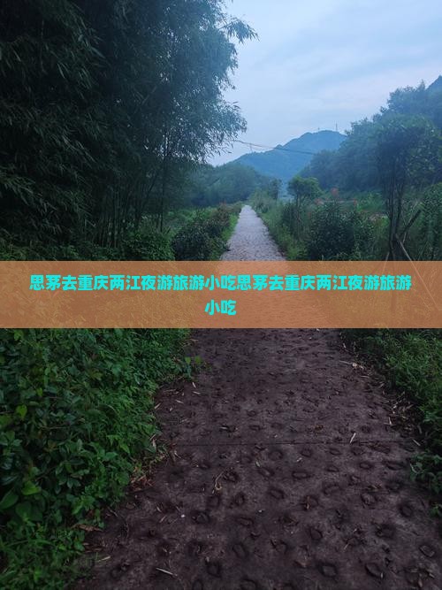 思茅去重庆两江夜游旅游小吃