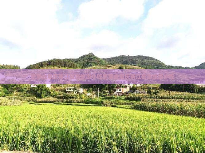 思茅去重庆两江夜游旅游小吃